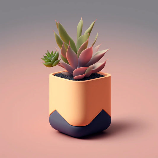 Succulent Duo - Fall 🍁